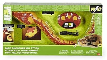 Animal Planet Radio Controlled Ball Python With Squirming Action Educational Board Games