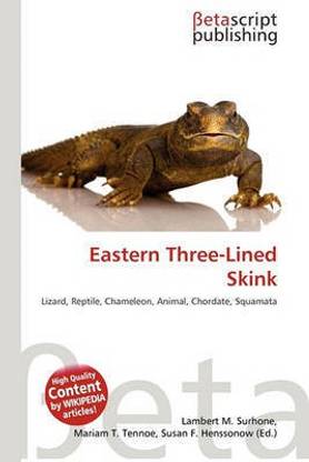 Eastern Three-Lined Skink