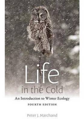 Life in the Cold