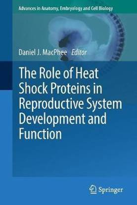 The Role of Heat Shock Proteins in Reproductive System Development and Function