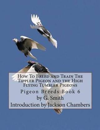 How To Breed and Train The Tippler Pigeon and the High Flying Tumbler Pigeons