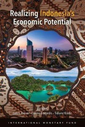 Realizing Indonesia's economic potential