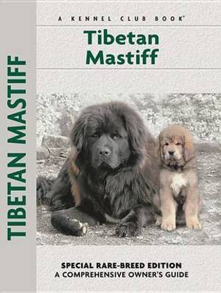 Tibetan Mastiff