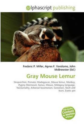 Gray Mouse Lemur