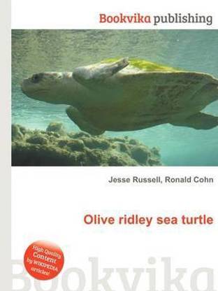 Olive Ridley Sea Turtle