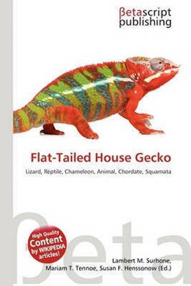 Flat-Tailed House Gecko