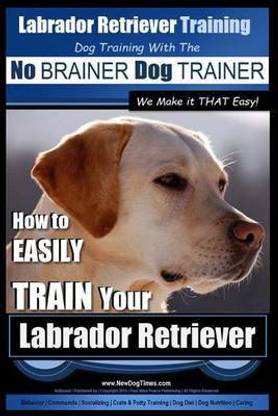 Labrador Retriever Training Dog Training with the No BRAINER Dog TRAINER We Make it THAT Easy!