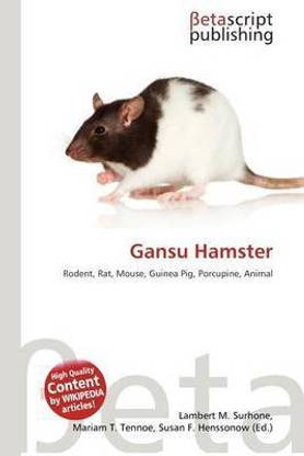 Gansu Hamster