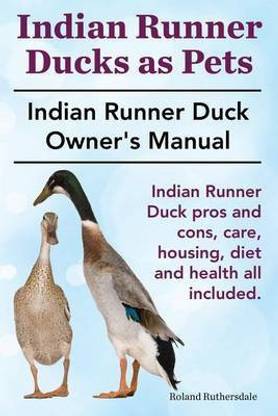 Indian Runner Ducks as Pets. Indian Runner Duck pros and cons, care, housing, diet and health all included.