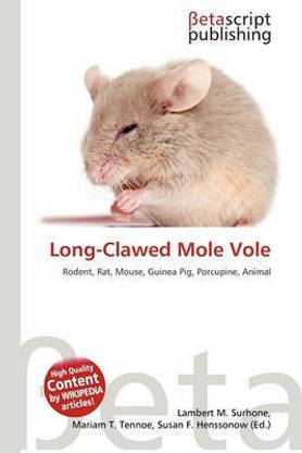 Long-Clawed Mole Vole