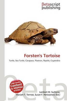 Forsten's Tortoise