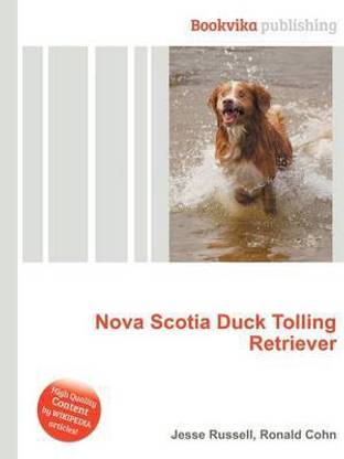Nova Scotia Duck Tolling Retriever