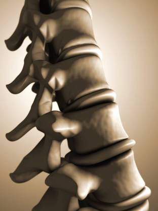 Conceptual image of human backbone Canvas Art - Stocktrek Images (13 x 17) Canvas Art