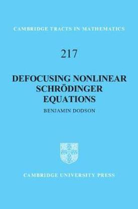 Defocusing Nonlinear Schroedinger Equations