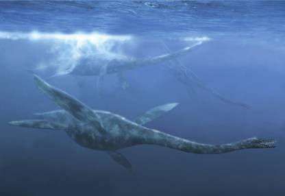 A group of Plesiosaurus Canvas Art