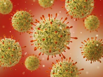 Microscopic view of herpes virus Canvas Art - Stocktrek Images (33 x 25) Canvas Art
