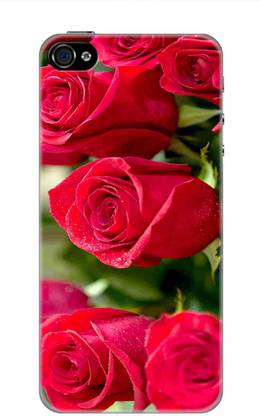 TAG Back Cover for Apple iPhone 4s ( 3.5 Inch ) Mobile