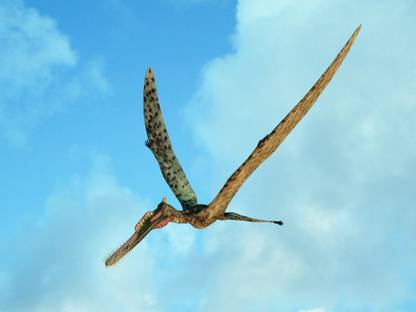 Zhenyuanopterus a genus of pterosaur from the Cretaceous Period Canvas Art - Walter MyersStocktrek Images (33 x 25) Canvas Art