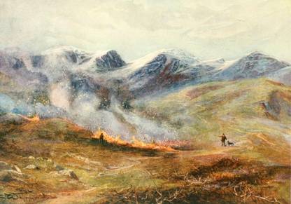 Grouse & Grouse Moors 1910 Heather burning Canvas Art - Charles Whymper (18 x 24) Canvas Art
