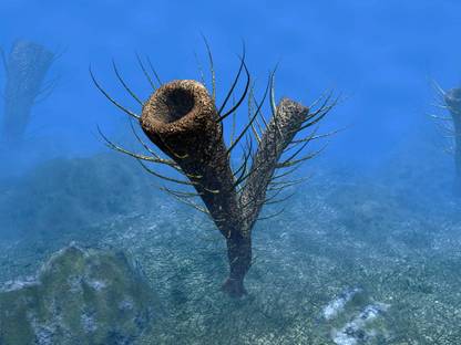 A species of Pirania a primitive sponge that populated the ocean floors 505 million years ago Canvas Art - Walter MyersStocktrek Images (17 x 13) Canvas Art