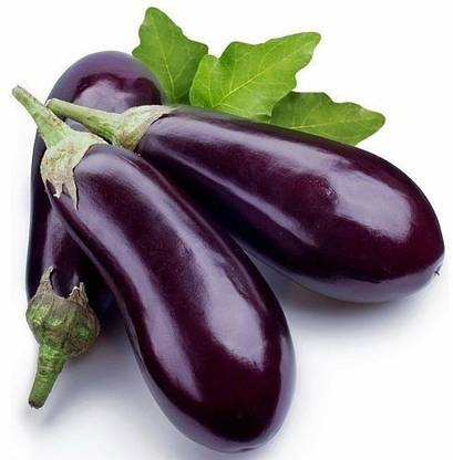 TULIP BRINJAL SEEDS BLUE / BANGAN Seed