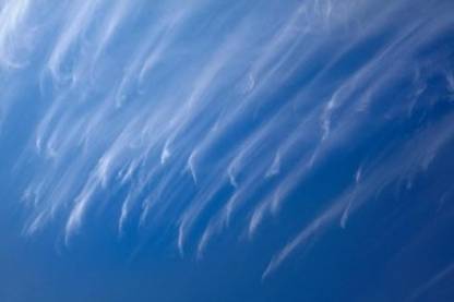 Cirrus Clouds Dunedin Otago South Island New Zealand Canvas Art - Davi Canvas Art