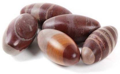 numeroastro Natural & Original Narmada | Narmadeshwar Shivling for Success (Small) Pack of 5 Decorative Showpiece  -  2 cm