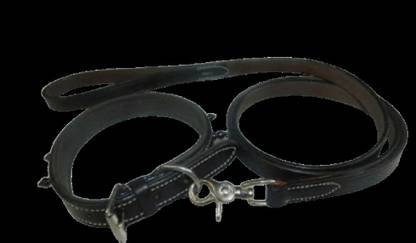 World Of Pets Scorpion Collar & Leash