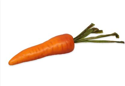 Phal World Artificial Carrot Artificial Fruit