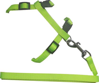 ADIOS Pet Nylon Strap Collar with Adjustable Walking Cat Harness & Leash
