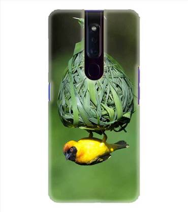 ColourCraft Back Cover for OPPO F11 PRO