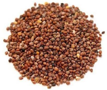 Shree Vardhman Traders Onion Seed