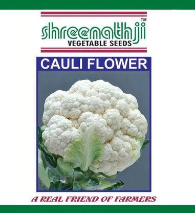 Pensare cauli_flower Seed