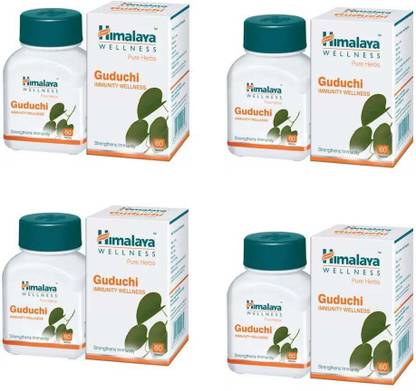 HIMALAYA GUDUCHI 240 T