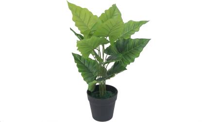 Flipkart Perfect Homes AP10 Artificial Plant with Pot Price in India ...