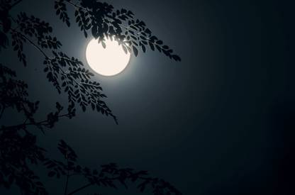 A Romantic Honeymoon Night Paper Print