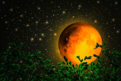 KD a orange beautiful moon Sticker Poster|Night Moon scenery|Nature poster|size:12x18 inch Paper Print