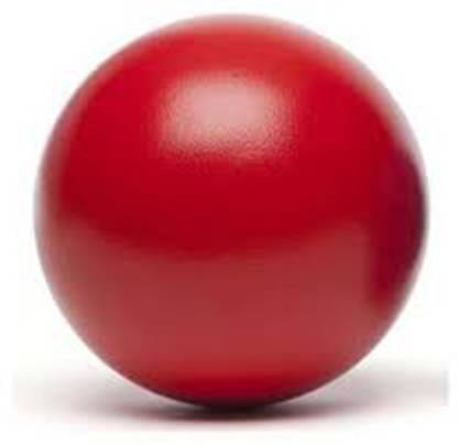 Foxsus 7.26 kg Shot Put