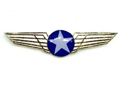 pilot18 Blue Uniform Badge