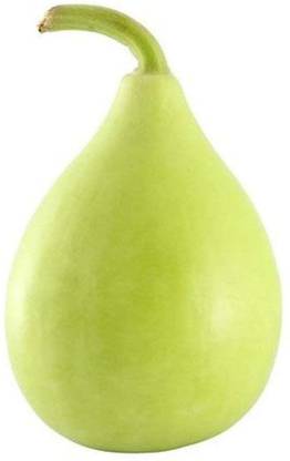 SSPLANTS Bottle Gourd Seed