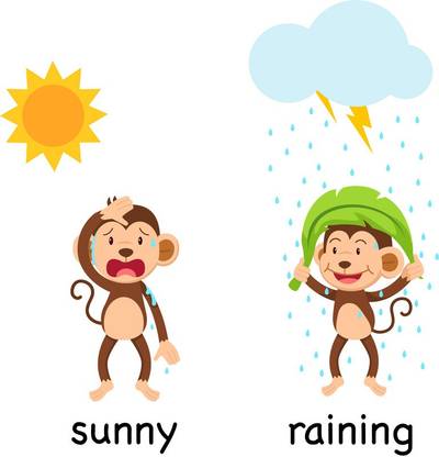 difference between sunny and raining Paper Print