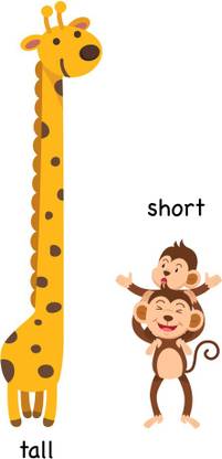 difference between short and tall Paper Print