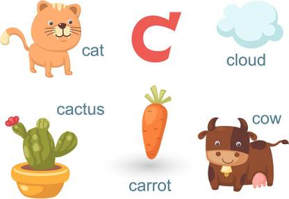 KD english alphabet c Poster| Paper Print