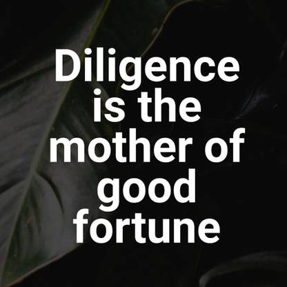 diligence is the Poster|Motivational poster|Inspirational Poster| Paper Print