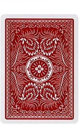 Aladdin Deck of 1001 Smooth Finish Poker Playing Cards (Red)