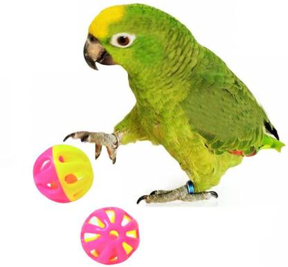 OrchidWala Plastic Ball For Bird