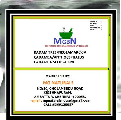 MGBN KADAM TREE/NEOLAMARCKIA CADAMBA/ANTHOCEPHALUS CADAMBA SEEDS 1 GM Seed