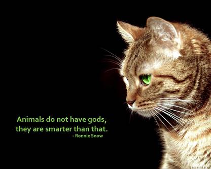 animals do not have gods |Motivational Poster|Inspirational Paper Print