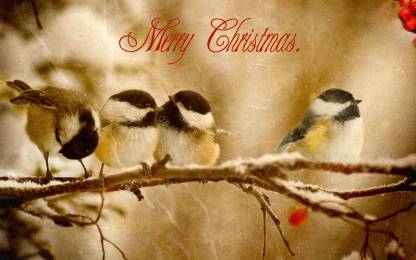 KD merry christmas with some birds Sticker Poster|Christmas poster|Christmas decoration Paper Print