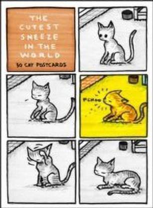Cutest Sneeze in the World Postcard Box